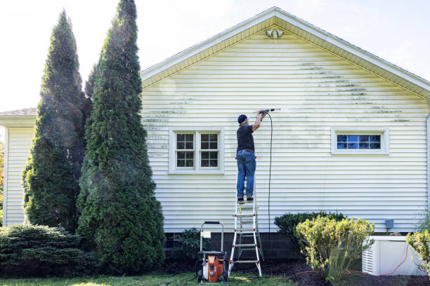 Best Local Pressure Washing Services  in Newport, WA